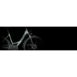 KTM LIFE CONQUEST moss grey satine (black) 2022 Unisex Trekking Kerékpár